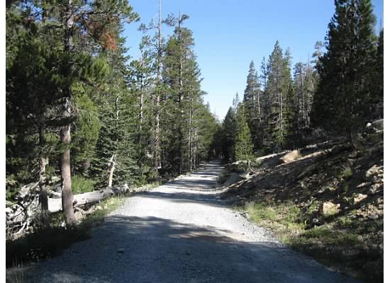 This historic road was constructed in 1882 by the Great Sierra Silver Mining Company to transport mining supplies to the mine at Tioga Hill.